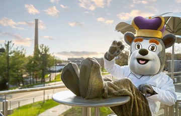 Dog mascot wearing chef coat siting in chair waving