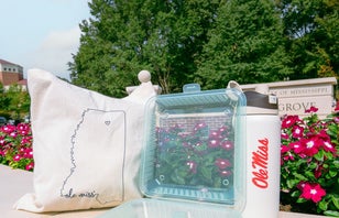 Image Alt Text