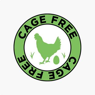 Feature panel image alt